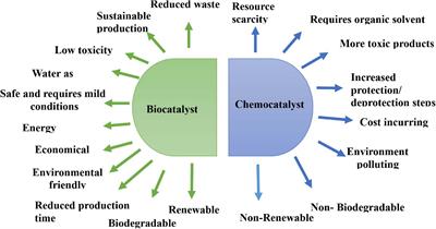 Endophytic Fungi-Mediated Biocatalysis and Biotransformations Paving the Way Toward Green Chemistry